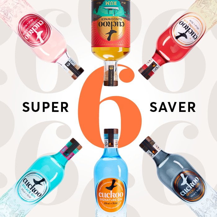 Super Saver 6